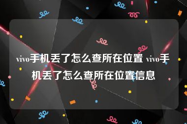 vivo手机丢了怎么查所在位置 vivo手机丢了怎么查所在位置信息