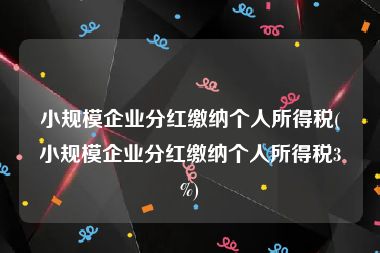 小规模企业分红缴纳个人所得税(小规模企业分红缴纳个人所得税3%)