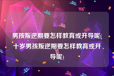 男孩叛逆期要怎样教育或开导呢(十岁男孩叛逆期要怎样教育或开导呢)