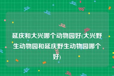 延庆和大兴哪个动物园好(大兴野生动物园和延庆野生动物园哪个好)