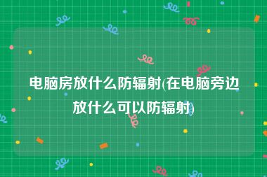 电脑房放什么防辐射(在电脑旁边放什么可以防辐射)