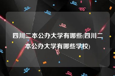 四川二本公办大学有哪些(四川二本公办大学有哪些学校)