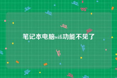 笔记本电脑wifi功能不见了