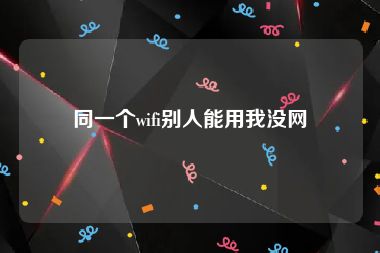 同一个wifi别人能用我没网