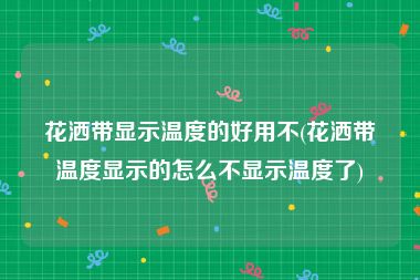 花洒带显示温度的好用不(花洒带温度显示的怎么不显示温度了)