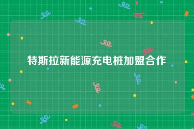 特斯拉新能源充电桩加盟合作