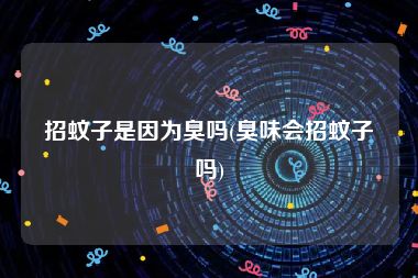 招蚊子是因为臭吗(臭味会招蚊子吗)