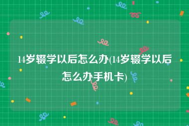 14岁辍学以后怎么办(14岁辍学以后怎么办手机卡)