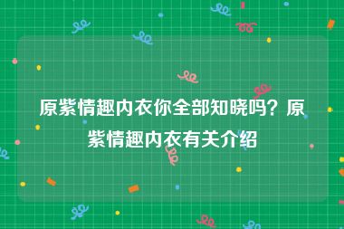 原紫情趣内衣你全部知晓吗？原紫情趣内衣有关介绍