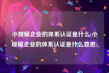 小规模企业的体系认证是什么(小规模企业的体系认证是什么意思)