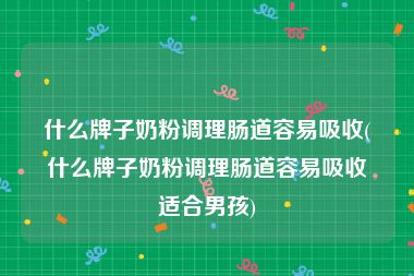 什么牌子奶粉调理肠道容易吸收(什么牌子奶粉调理肠道容易吸收适合男孩)