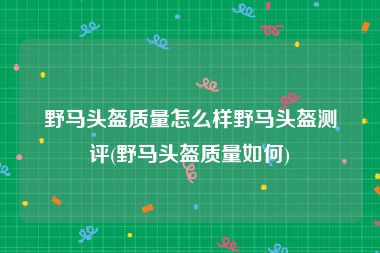 野马头盔质量怎么样野马头盔测评(野马头盔质量如何)