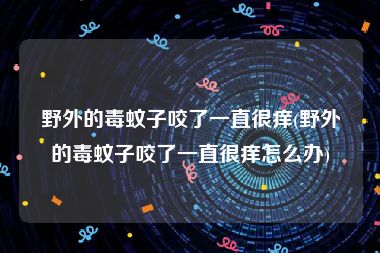 野外的毒蚊子咬了一直很痒(野外的毒蚊子咬了一直很痒怎么办)