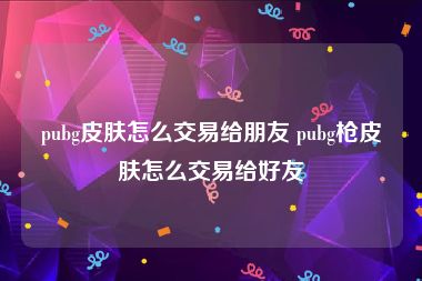 pubg皮肤怎么交易给朋友 pubg枪皮肤怎么交易给好友