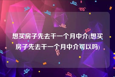 想买房子先去干一个月中介(想买房子先去干一个月中介可以吗)