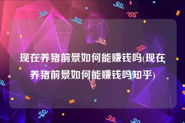 现在养猪前景如何能赚钱吗(现在养猪前景如何能赚钱吗知乎)