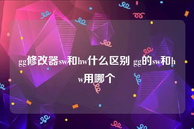 gg修改器sw和hw什么区别 gg的sw和hw用哪个