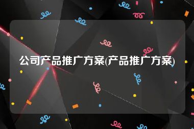 公司产品推广方案(产品推广方案)