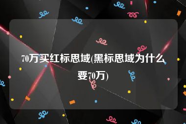 70万买红标思域(黑标思域为什么要70万)