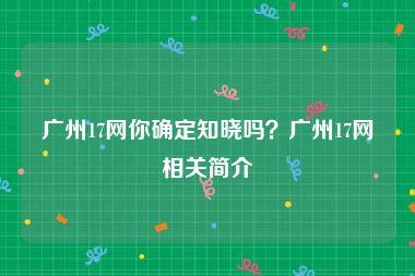 广州17网你确定知晓吗？广州17网相关简介