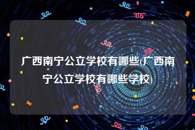 广西南宁公立学校有哪些(广西南宁公立学校有哪些学校)