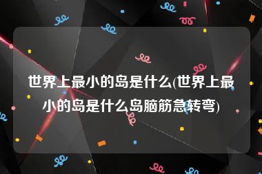 世界上最小的岛是什么(世界上最小的岛是什么岛脑筋急转弯)