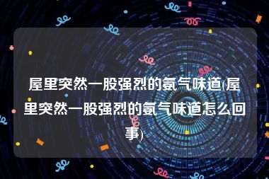 屋里突然一股强烈的氨气味道(屋里突然一股强烈的氨气味道怎么回事)