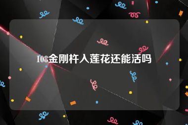 108金刚杵入莲花还能活吗