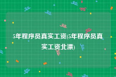 5年程序员真实工资(5年程序员真实工资北漂)