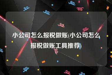 小公司怎么报税做账(小公司怎么报税做账工具推荐)