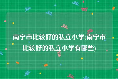 南宁市比较好的私立小学(南宁市比较好的私立小学有哪些)