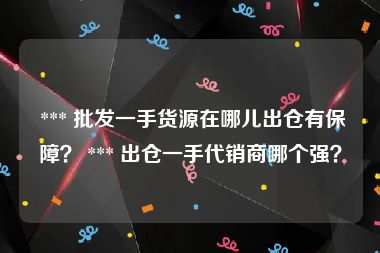  *** 批发一手货源在哪儿出仓有保障？ *** 出仓一手代销商哪个强？