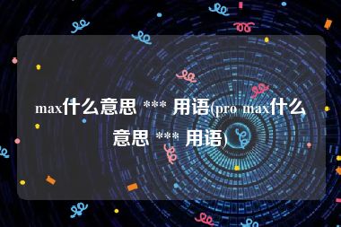 max什么意思 *** 用语(pro max什么意思 *** 用语)