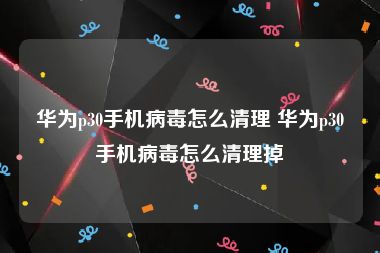 华为p30手机病毒怎么清理 华为p30手机病毒怎么清理掉