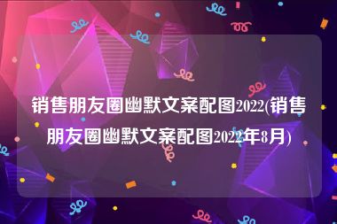 销售朋友圈幽默文案配图2022(销售朋友圈幽默文案配图2022年8月)