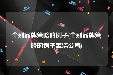 个别品牌策略的例子(个别品牌策略的例子宝洁公司)