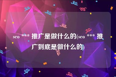 seo *** 推广是做什么的(seo *** 推广到底是做什么的)