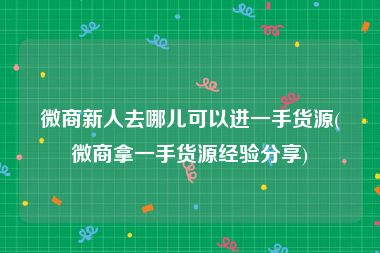 微商新人去哪儿可以进一手货源(微商拿一手货源经验分享)