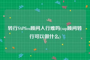 转行SAPfico顾问入行难吗(sap顾问转行可以做什么)