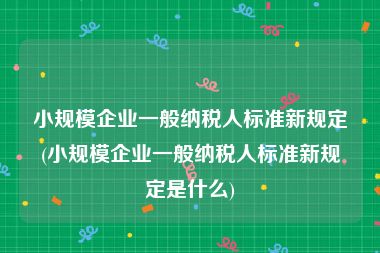 小规模企业一般纳税人标准新规定(小规模企业一般纳税人标准新规定是什么)