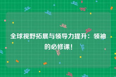 全球视野拓展与领导力提升：领袖的必修课！