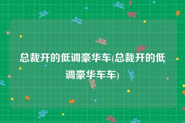 总裁开的低调豪华车(总裁开的低调豪华车车)