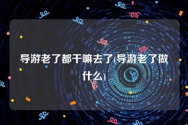 导游老了都干嘛去了(导游老了做什么)