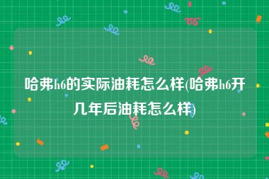 哈弗h6的实际油耗怎么样(哈弗h6开几年后油耗怎么样)