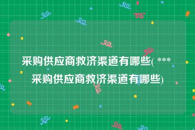 采购供应商救济渠道有哪些( *** 采购供应商救济渠道有哪些)