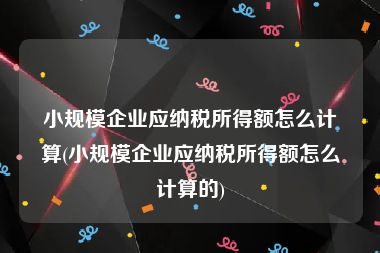 小规模企业应纳税所得额怎么计算(小规模企业应纳税所得额怎么计算的)