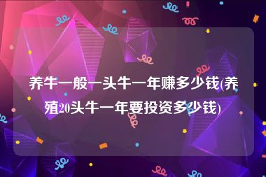 养牛一般一头牛一年赚多少钱(养殖20头牛一年要投资多少钱)