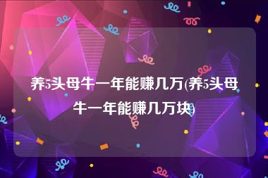 养5头母牛一年能赚几万(养5头母牛一年能赚几万块)