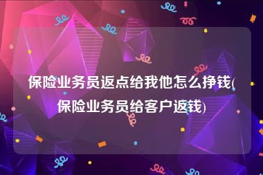 保险业务员返点给我他怎么挣钱(保险业务员给客户返钱)