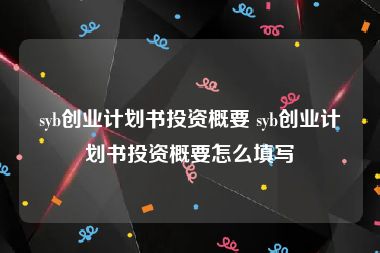 syb创业计划书投资概要 syb创业计划书投资概要怎么填写